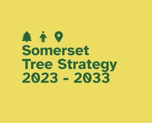 Somerset Tree Strategy