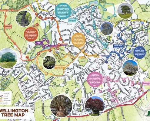 Tree walk map